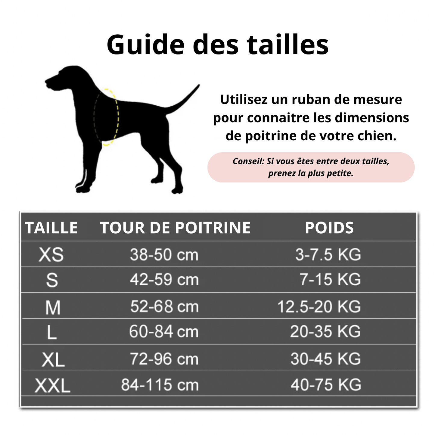 Harnais réfléchissant pour chien | ReflectiveDog™ - MyPetsHub