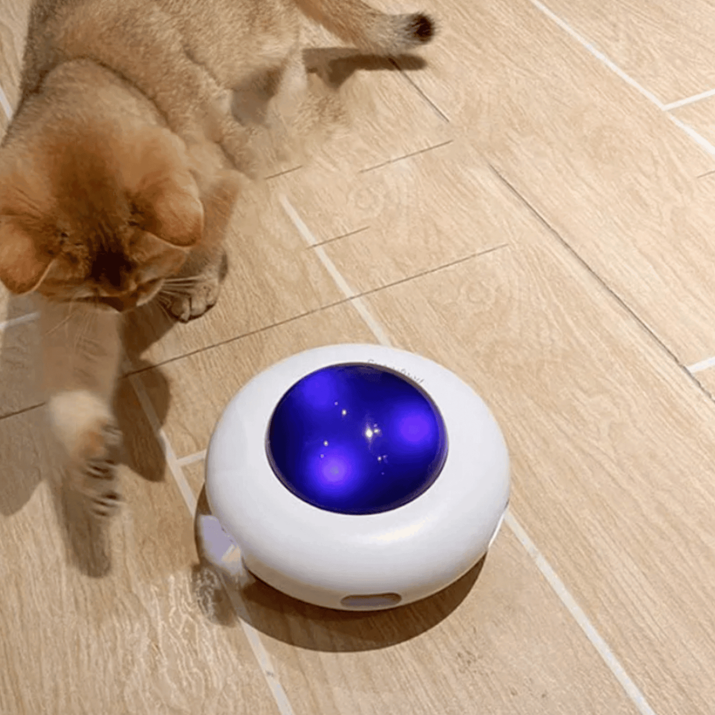 Jouet intelligent OVNI avec plumes pour chat - MyPetsHub