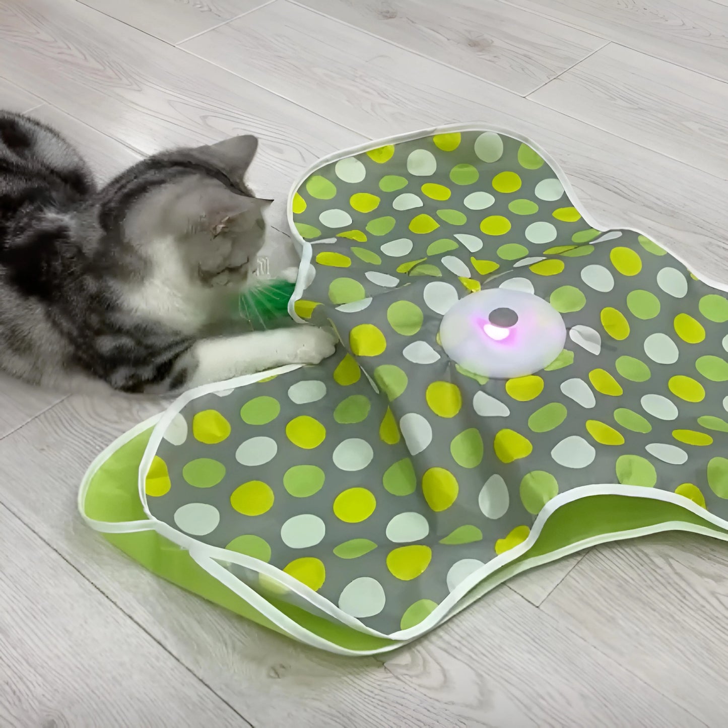 Jouet interactif pour chat et chaton