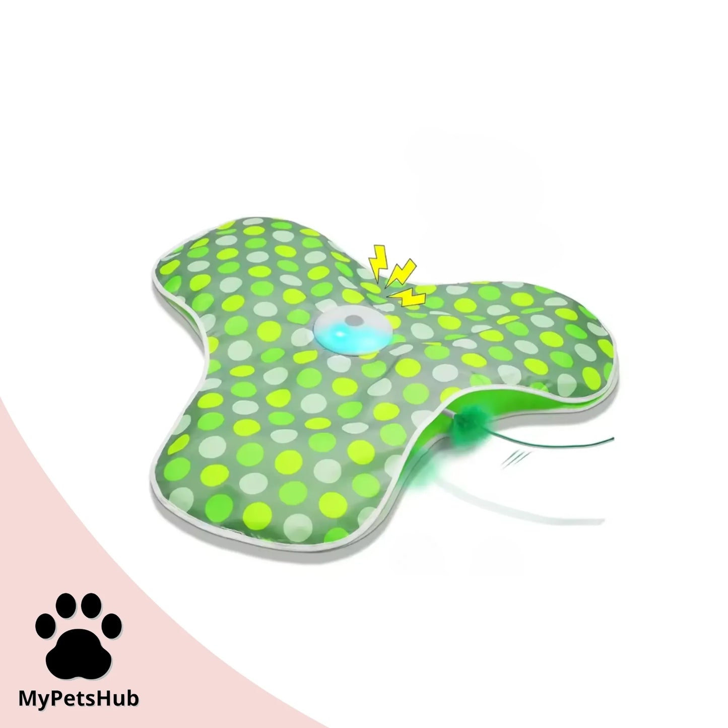 Jouet interactif pour chat et chaton