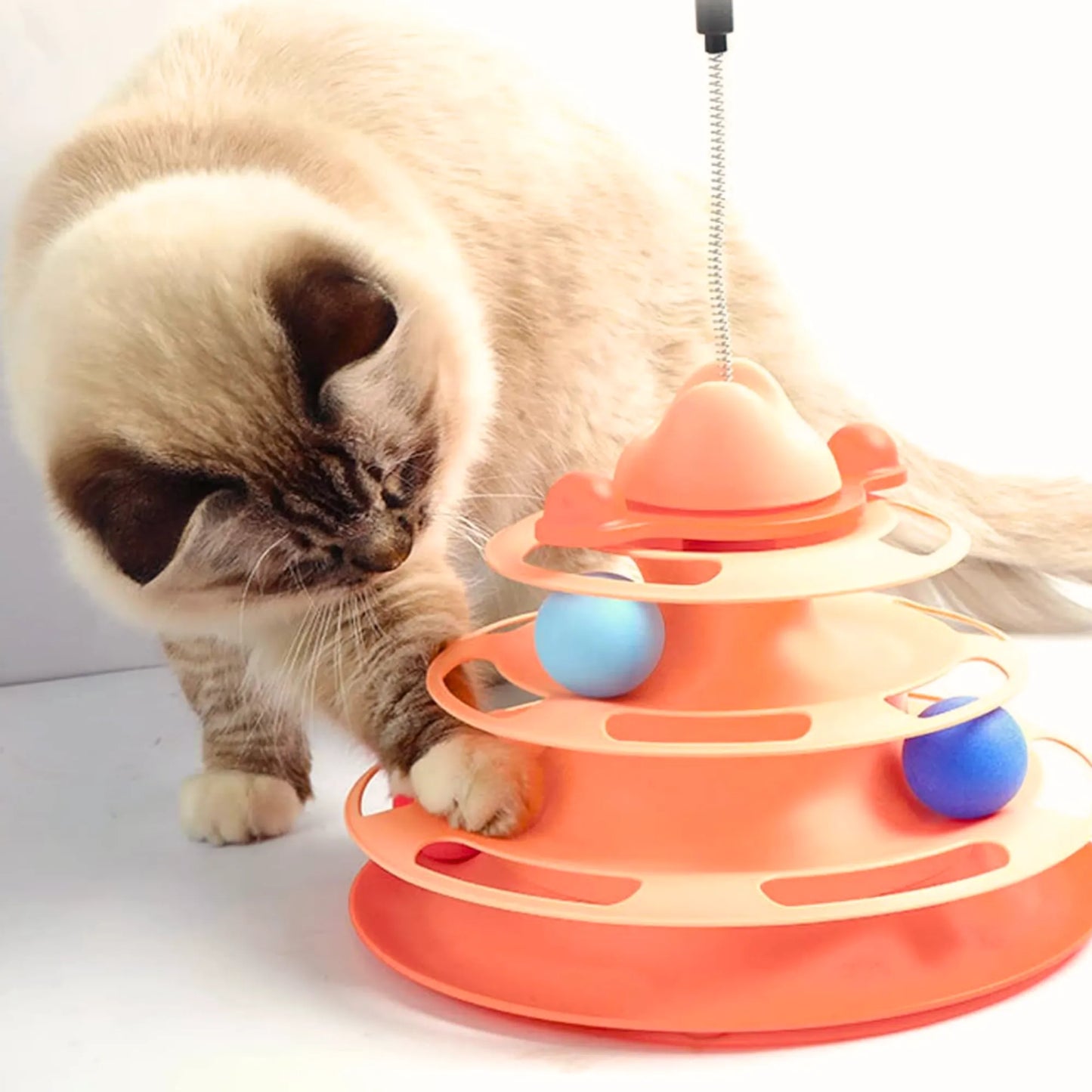 Tour de jeu pour chat