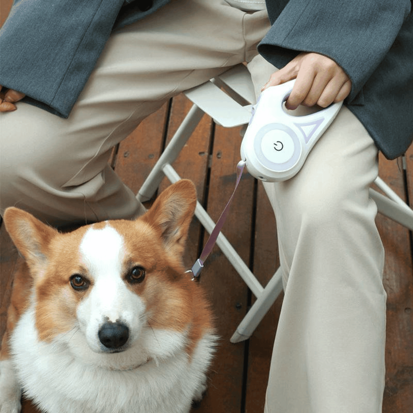 Laisse enrouleur de 3M/5M avec led et lampe pour chien - MyPetsHub
