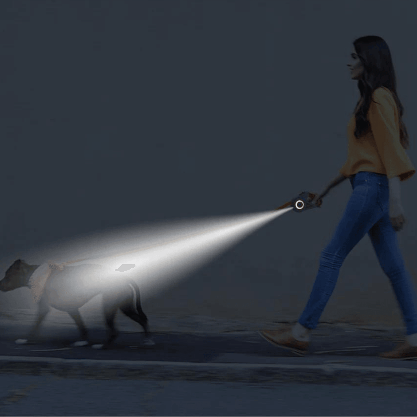 Laisse enrouleur de 3M/5M avec led et lampe pour chien - MyPetsHub