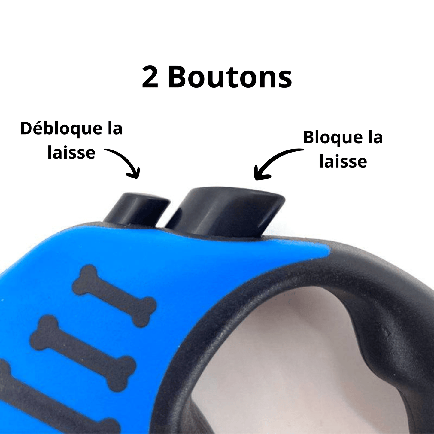 Laisse enrouleur de 3M/5M pour chat ou petit chien - MyPetsHub