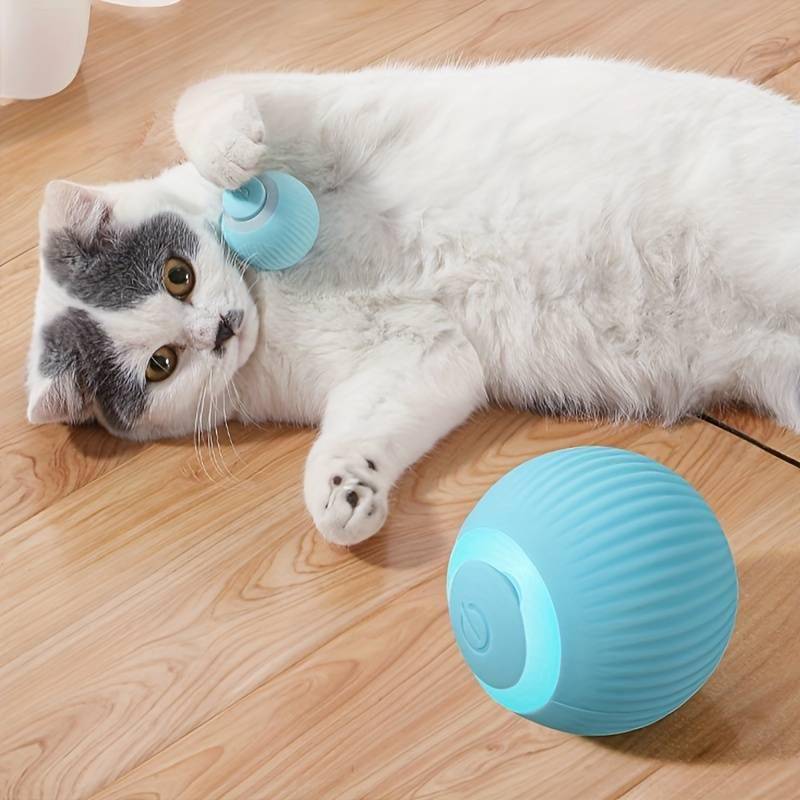 Balle intelligente autonome pour chat | AutoBall™ - MyPetsHub