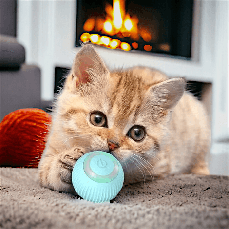Balle intelligente autonome pour chat | AutoBall™ - MyPetsHub