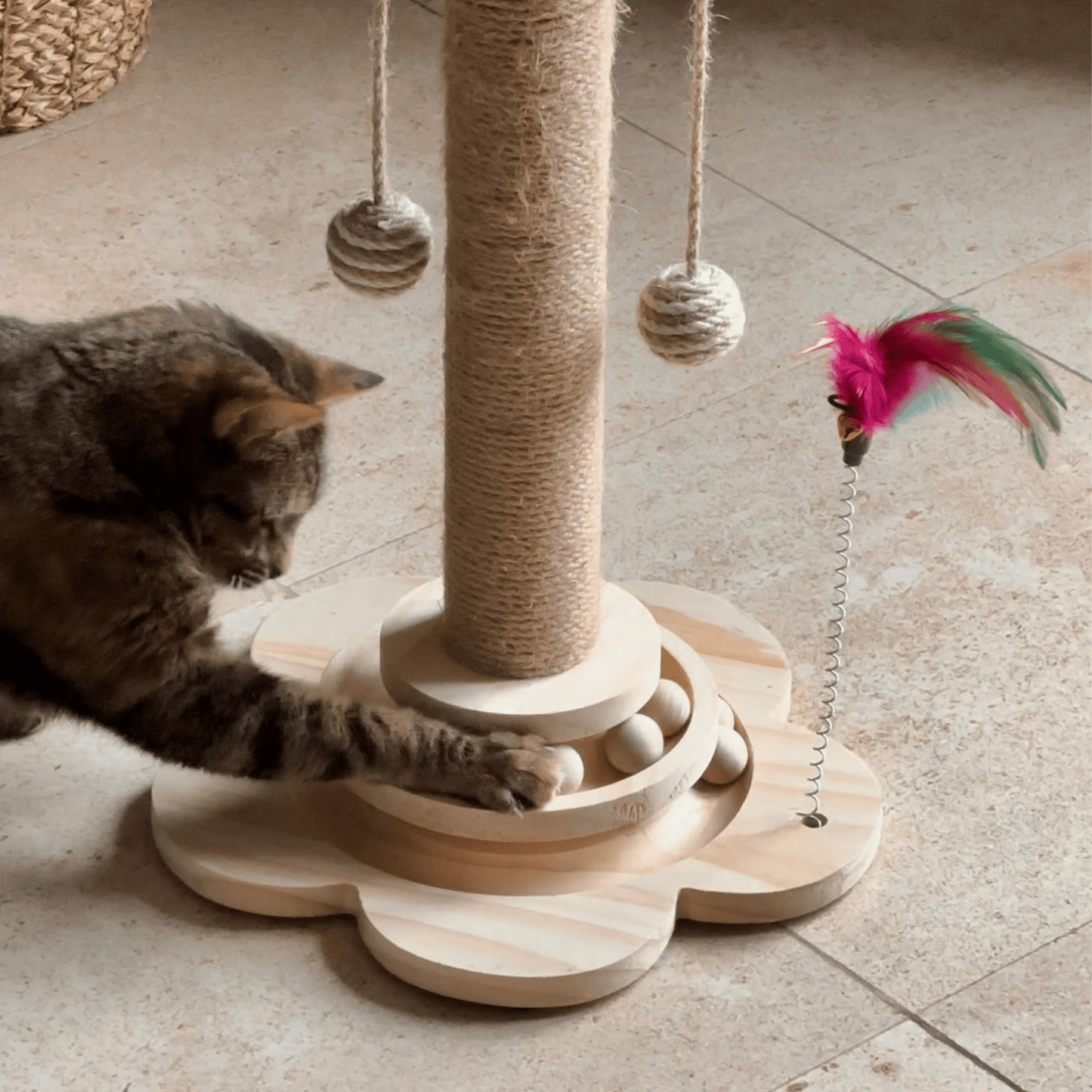 Arbre à chat en bois en forme de tour | MyPetsHub