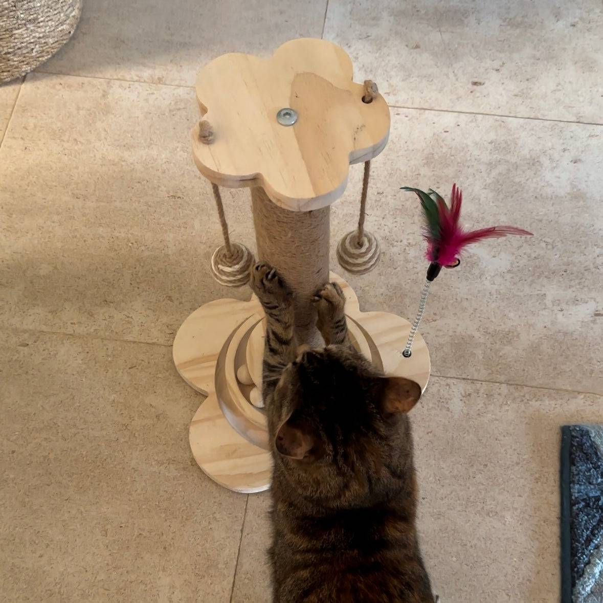 Arbre à chat en bois en forme de tour | MyPetsHub