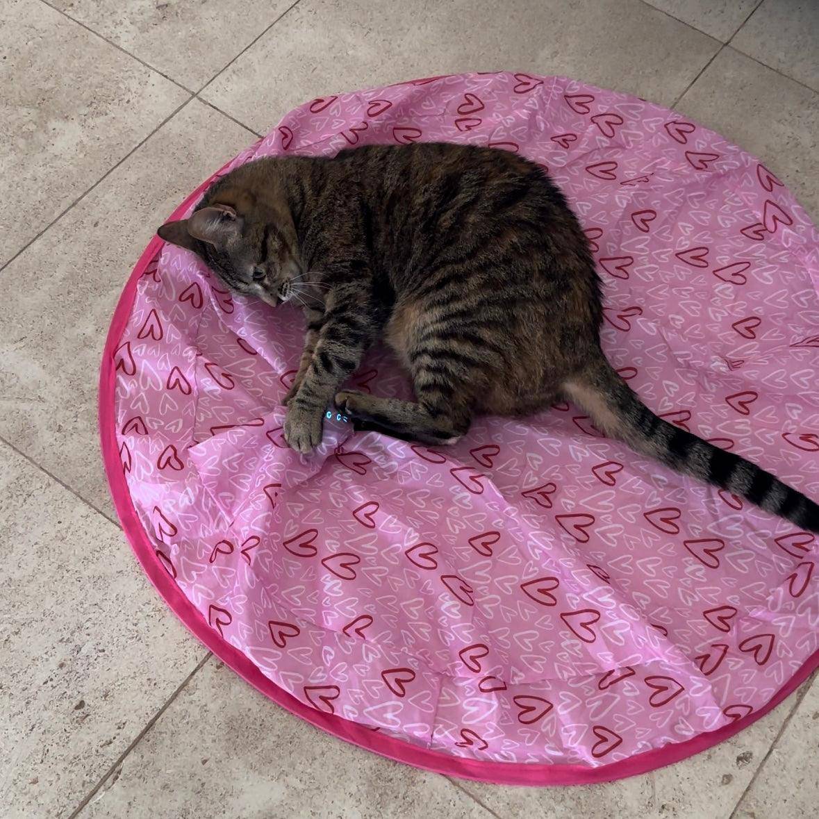 Jouet de chasse stimulant pour chat - MyPetsHub