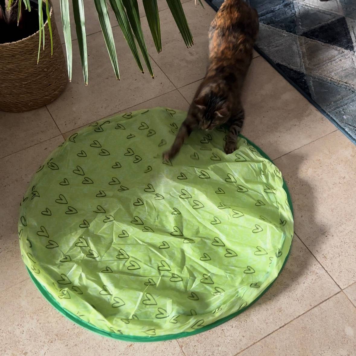 Jouet de chasse stimulant pour chat - MyPetsHub