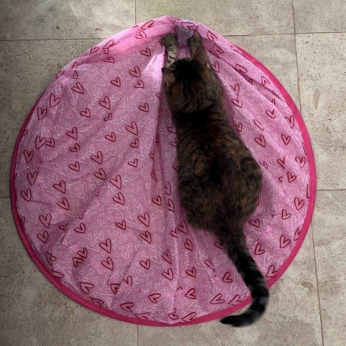 Jouet de chasse stimulant pour chat - MyPetsHub