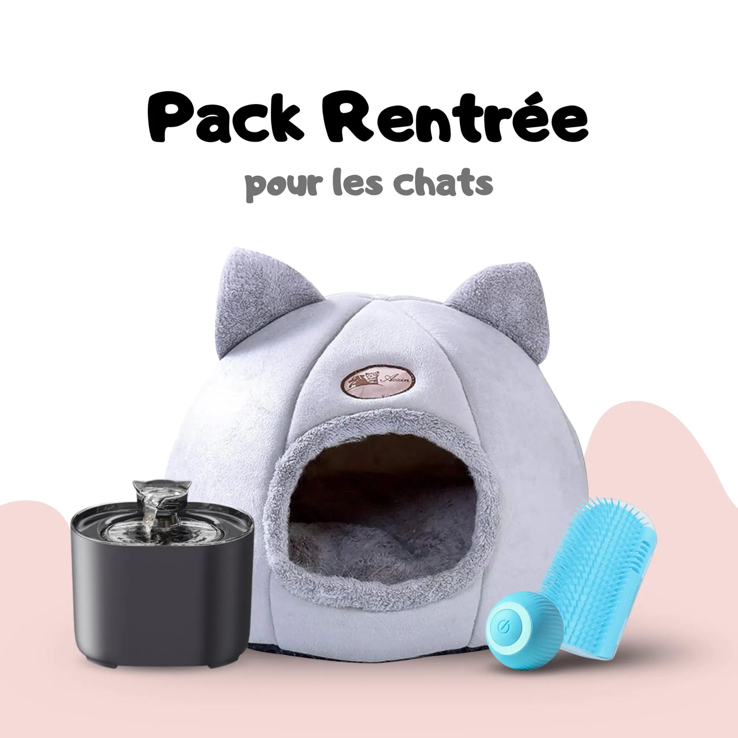 Pack Rentrée pour chats et chatons