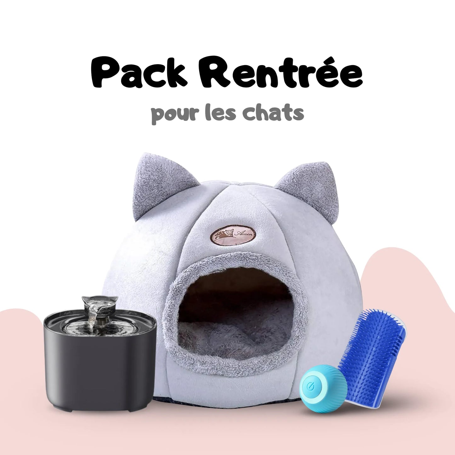 Pack Rentrée pour chats et chatons