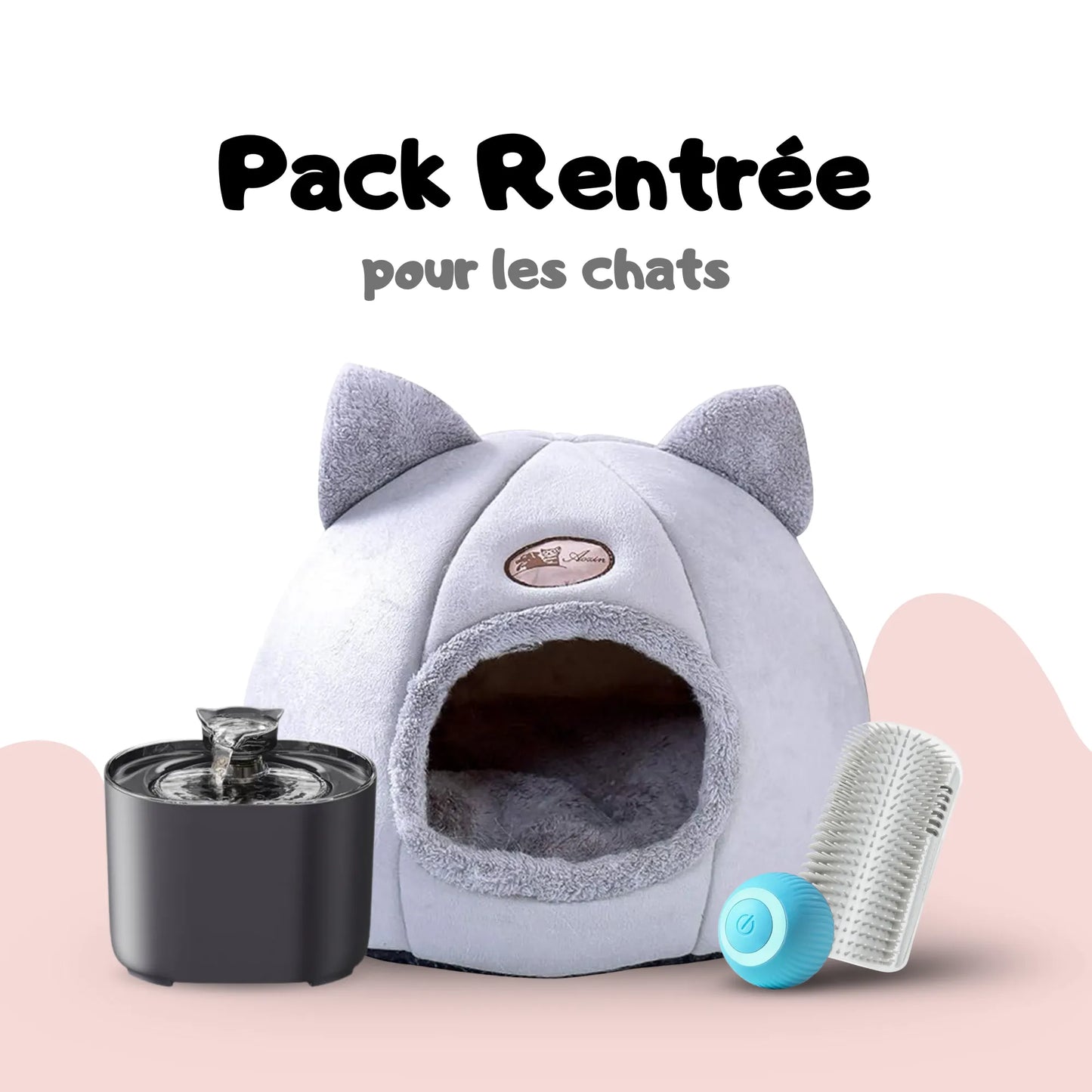 Pack Rentrée pour chats et chatons