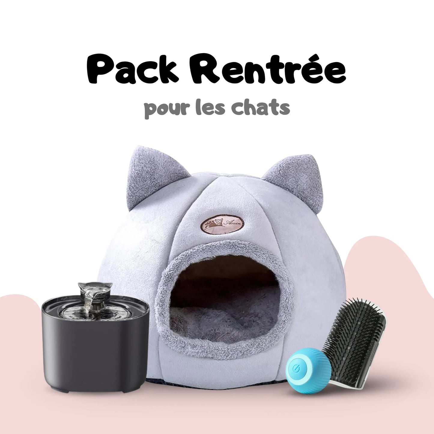 Pack Rentrée pour chats et chatons
