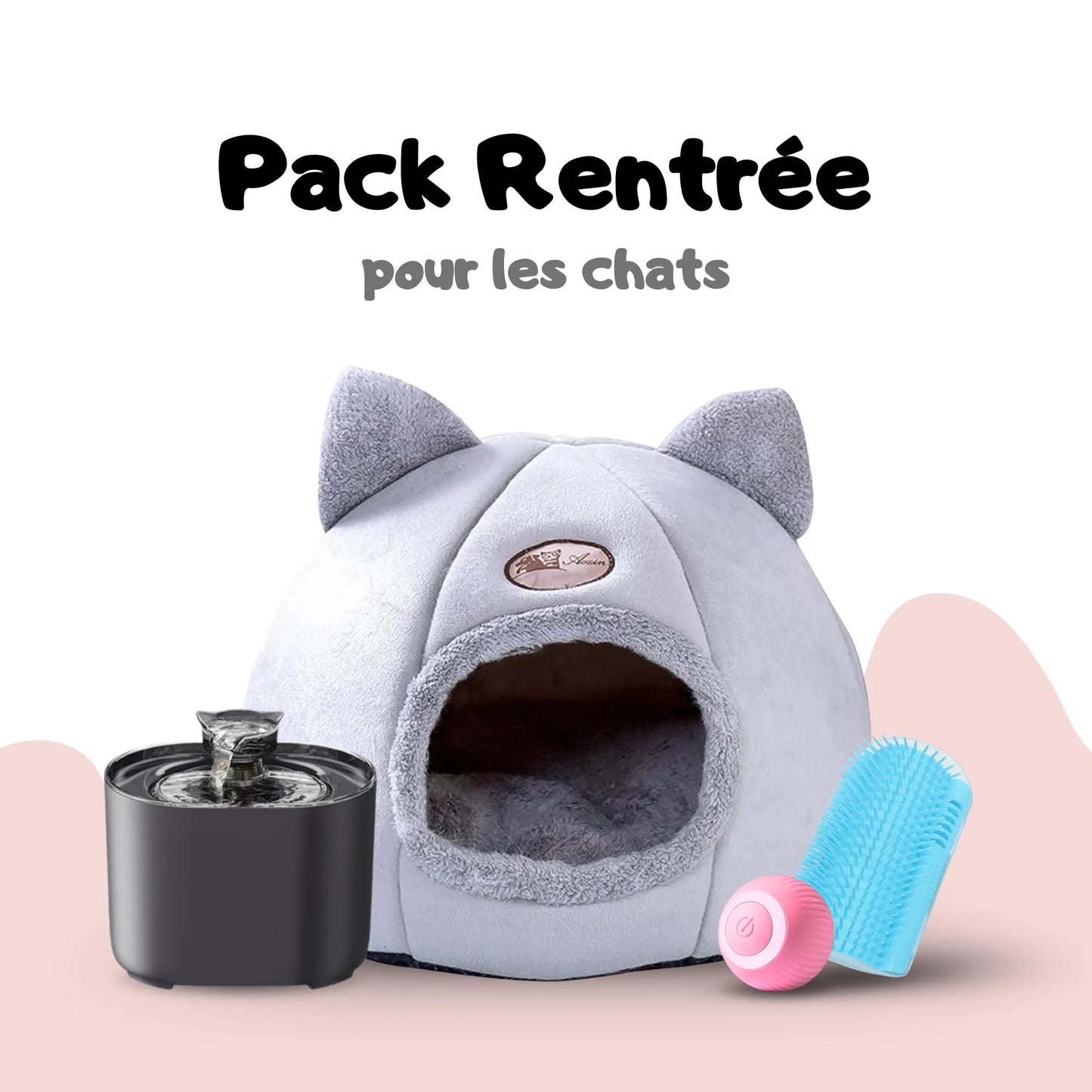 Pack Rentrée pour chats et chatons