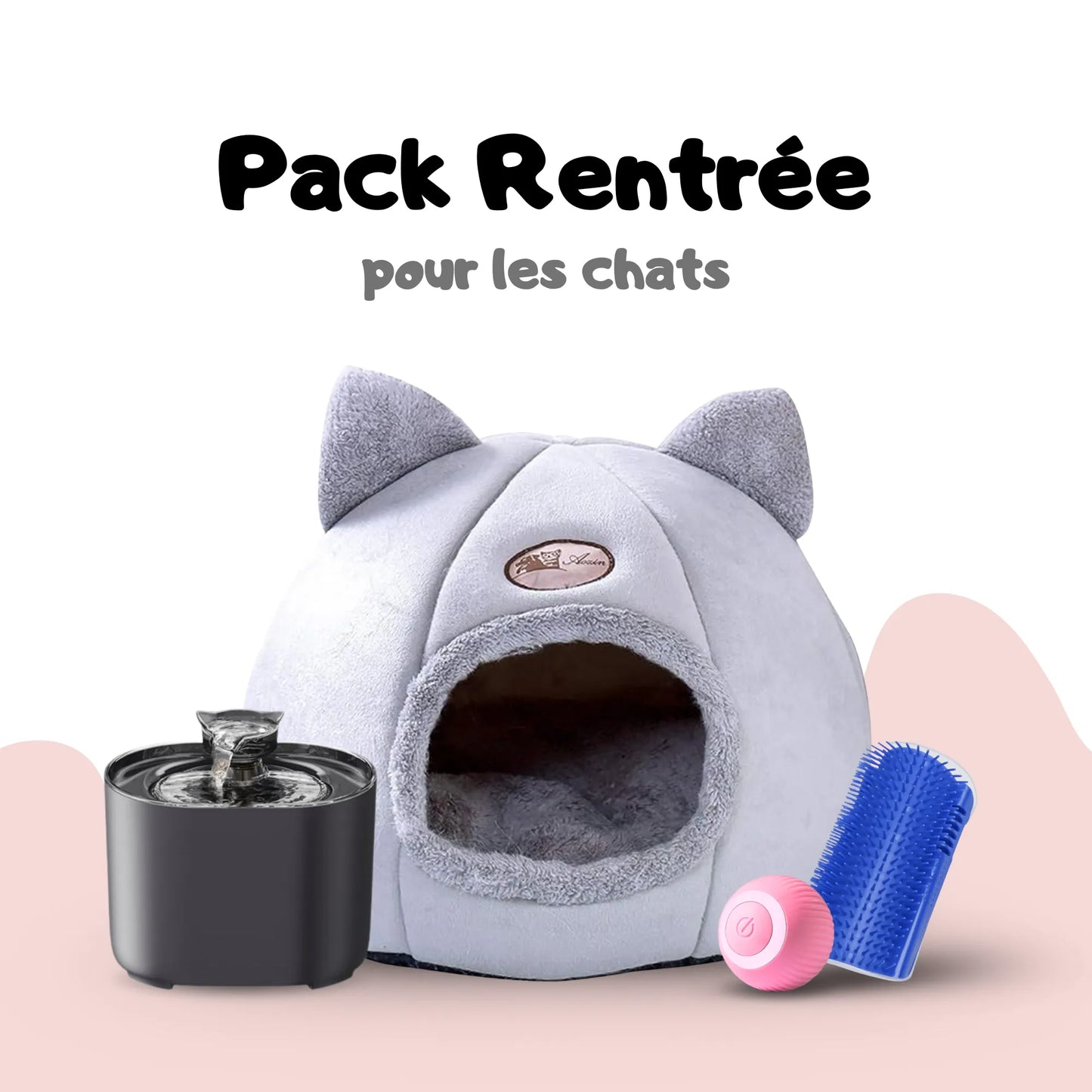 Pack Rentrée pour chats et chatons