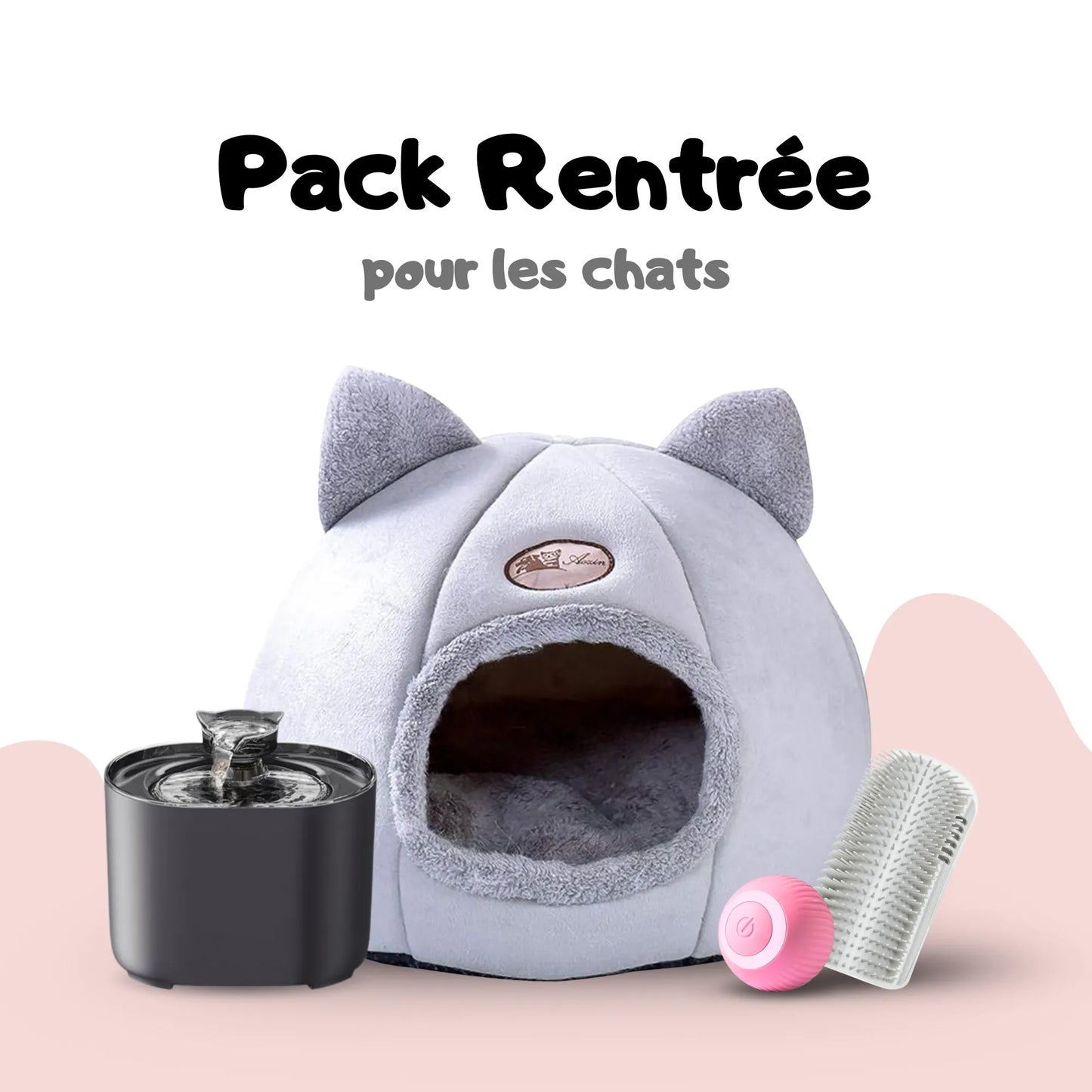 Pack Rentrée pour chats et chatons