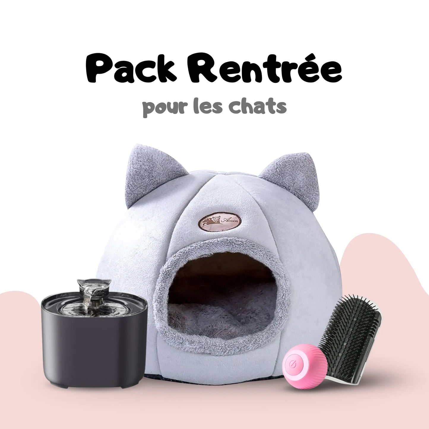 Pack Rentrée pour chats et chatons