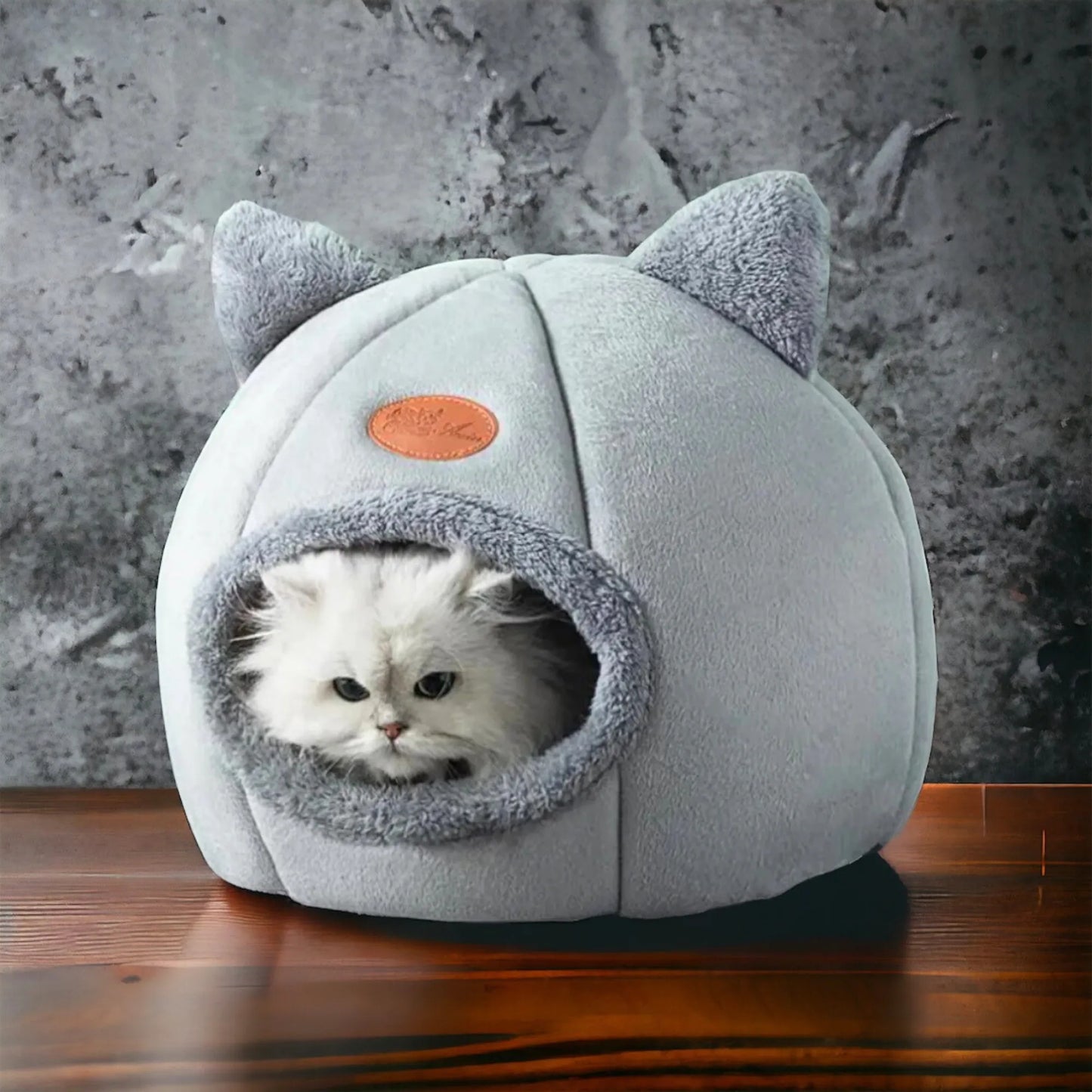 Pack Rentrée pour chats et chatons
