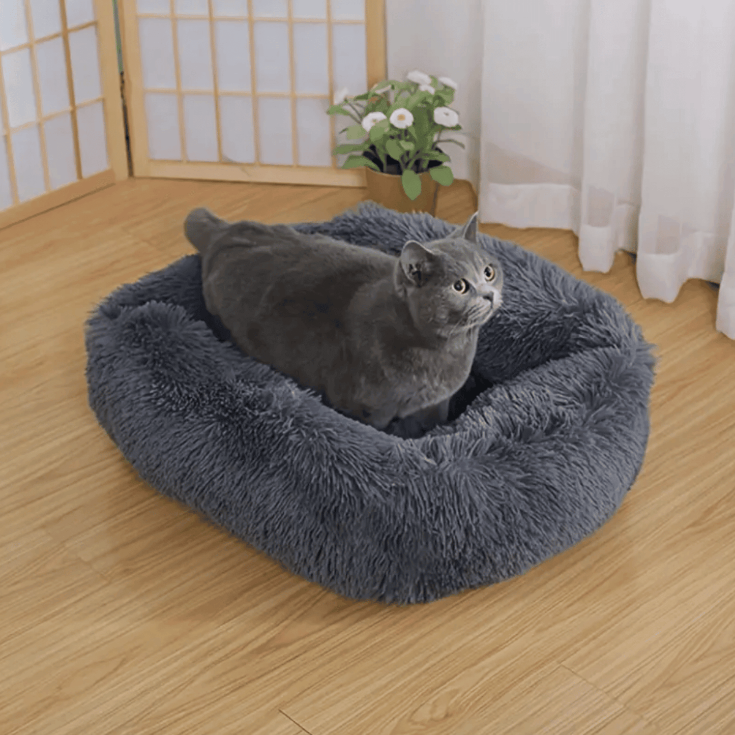 Panier Carré pour Chien et Chat - MyPetsHub