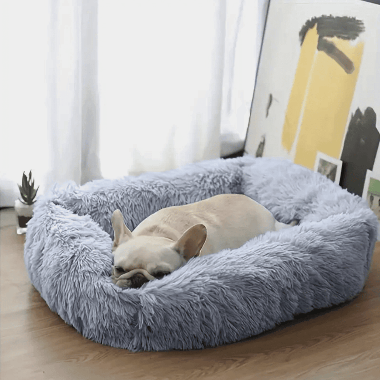 Panier Carré pour Chien et Chat - MyPetsHub