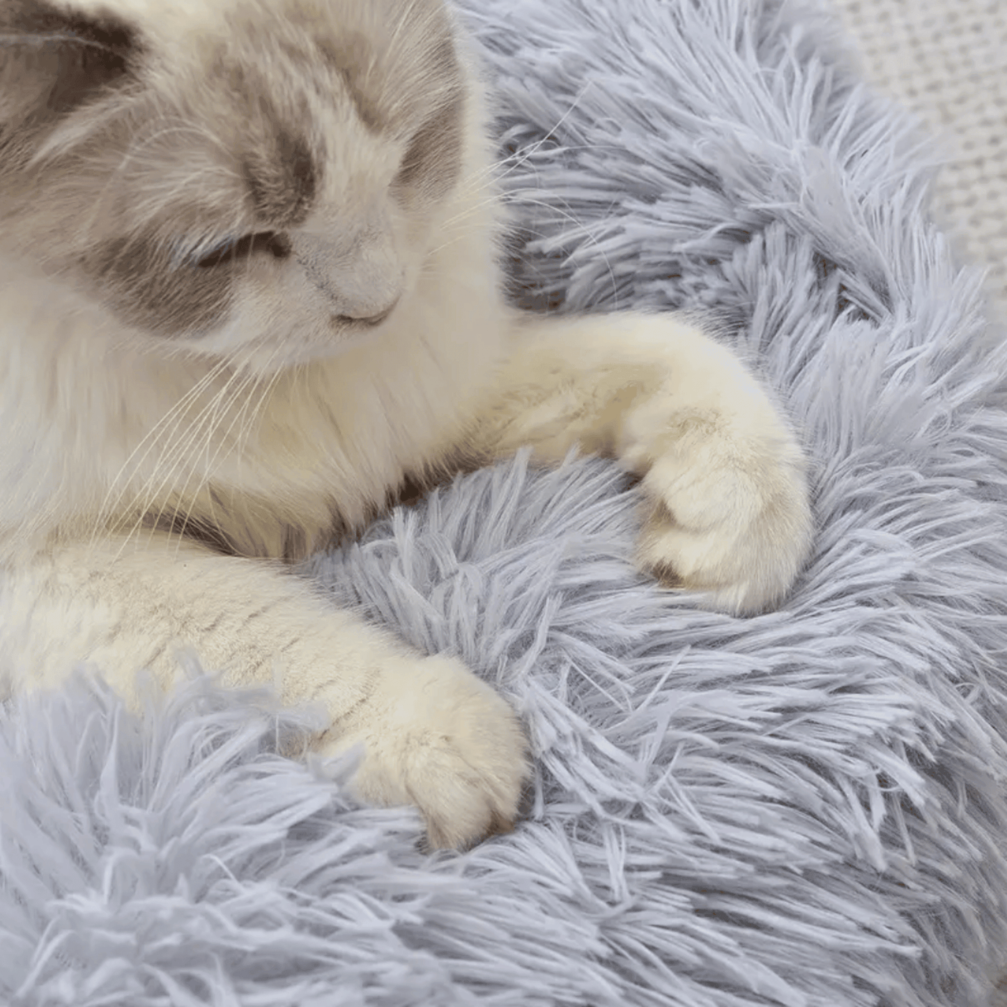 Panier Carré pour Chien et Chat - MyPetsHub