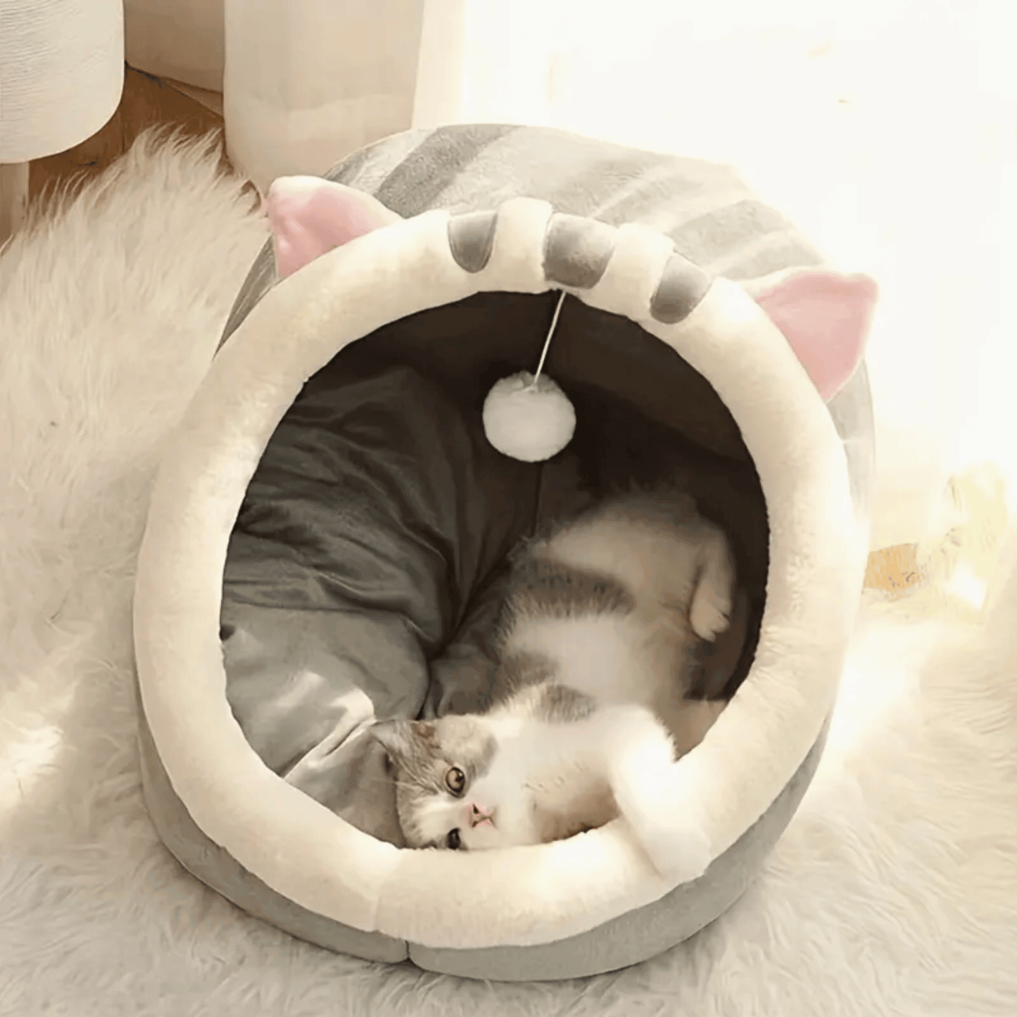 Panier tête d'animaux pour chat | KingCat™ - MyPetsHub