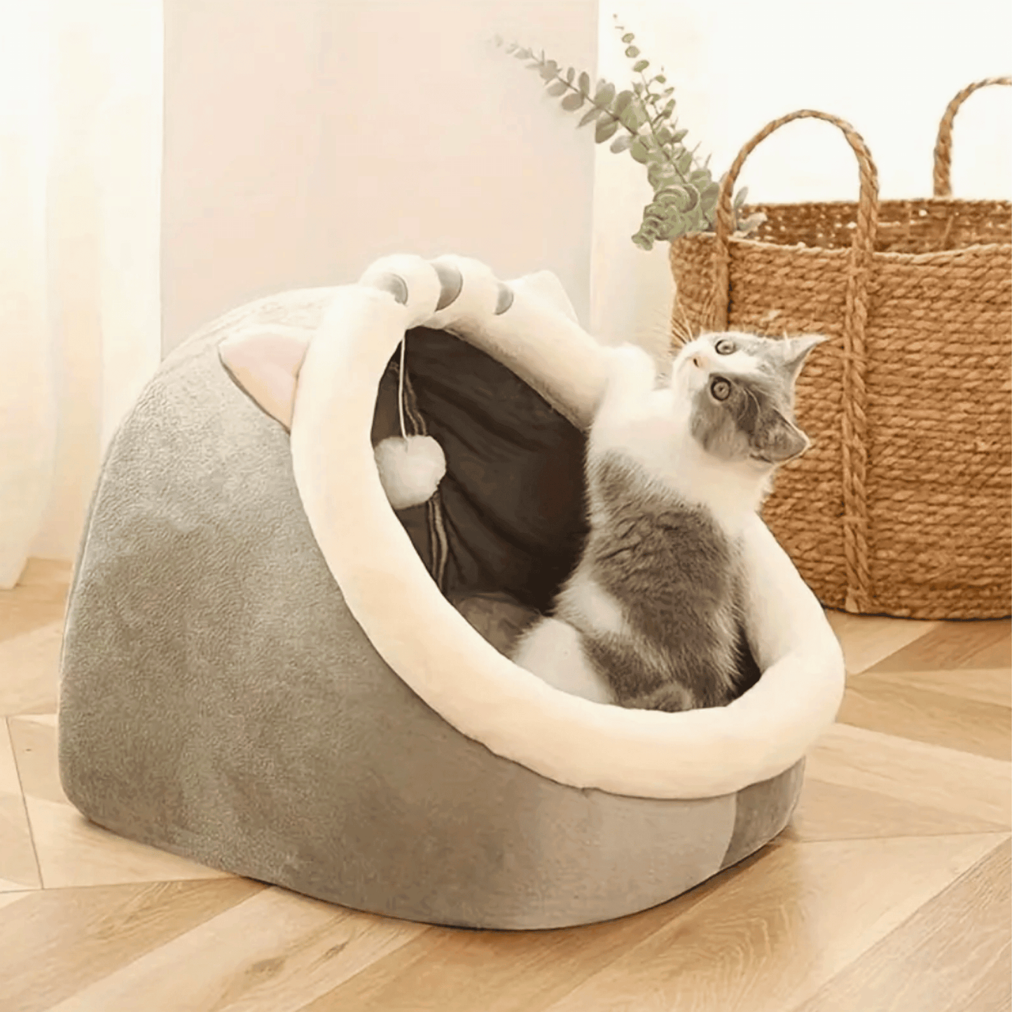 Panier tête d'animaux pour chat | KingCat™ - MyPetsHub