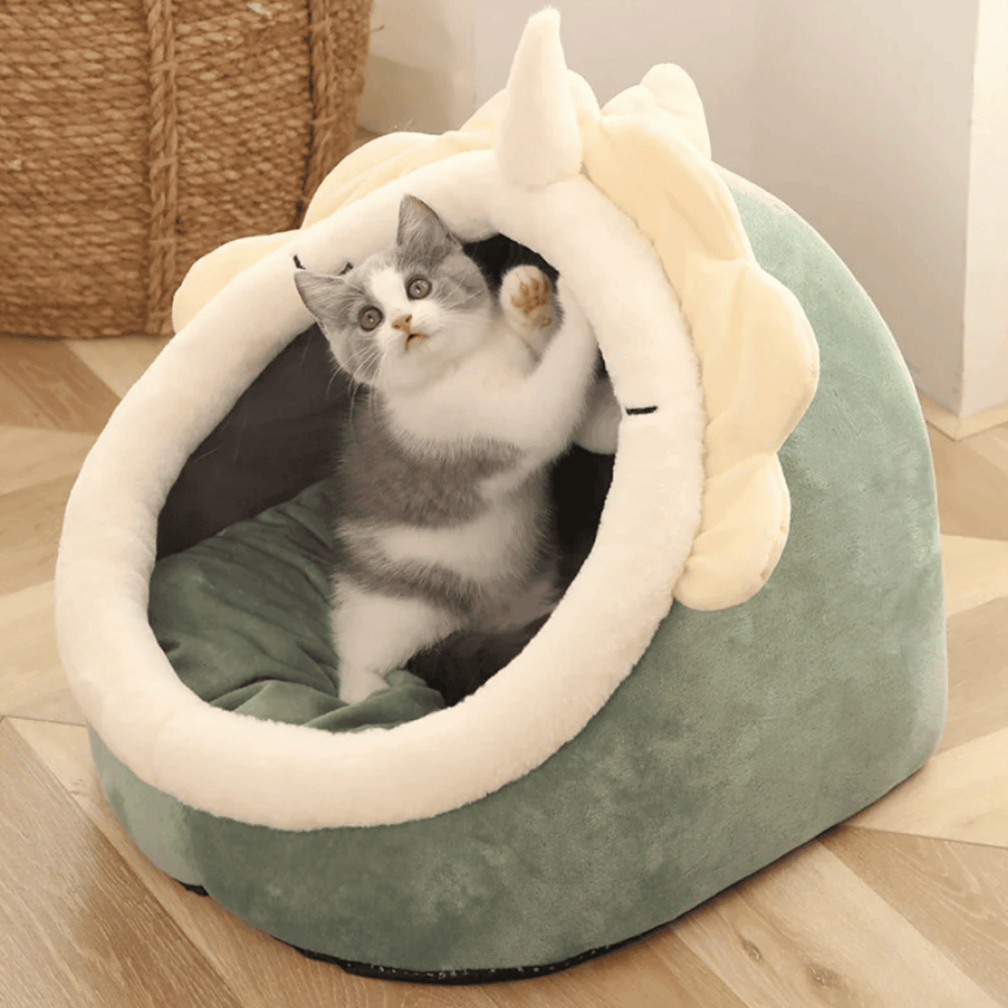 Panier tête d'animaux pour chat | KingCat™ - MyPetsHub