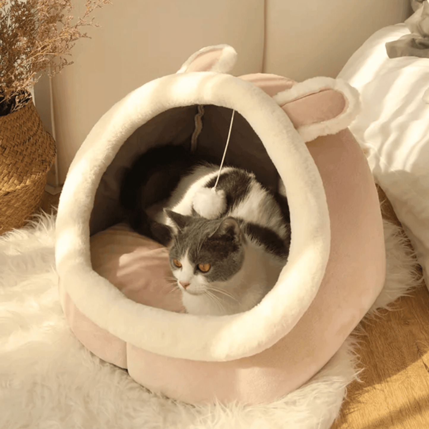 Panier tête d'animaux pour chat | KingCat™ - MyPetsHub