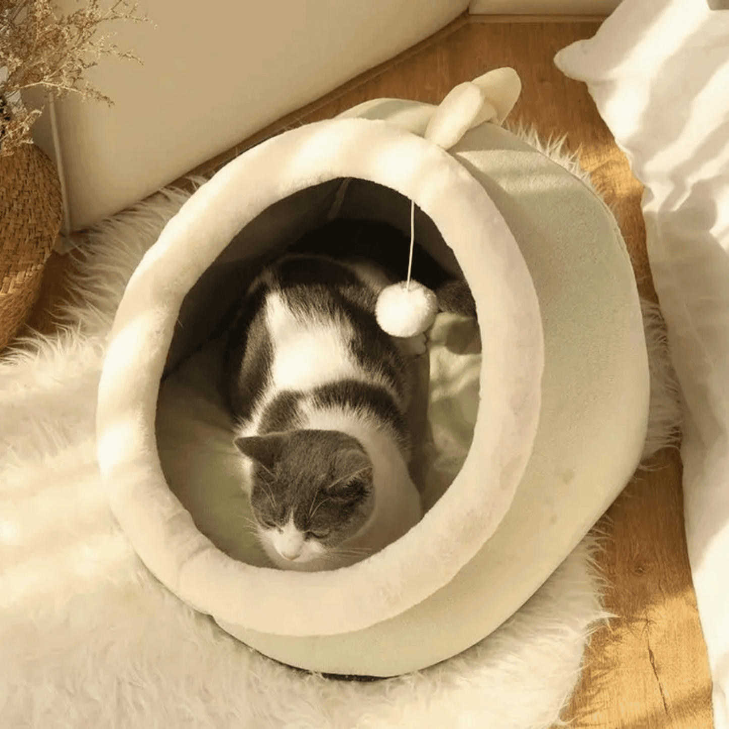 Panier tête d'animaux pour chat | KingCat™ - MyPetsHub