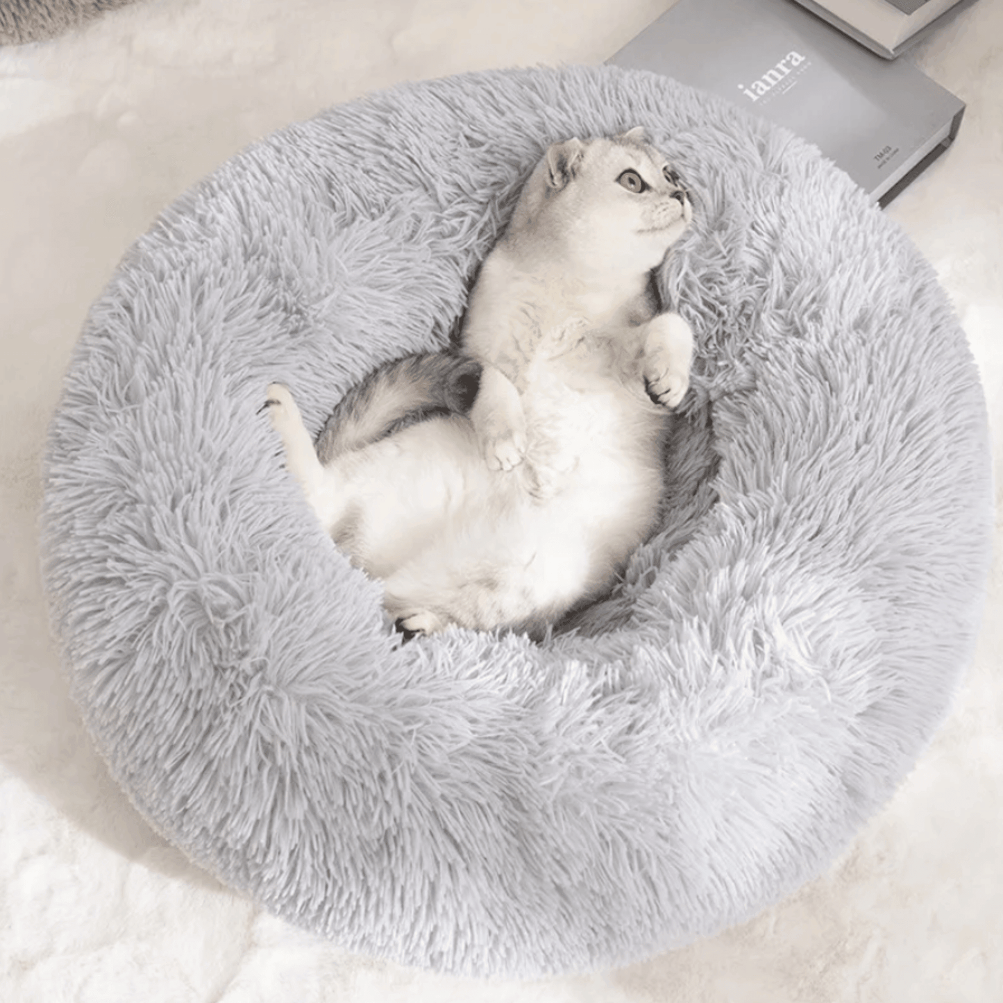 Panier rond pour chien et chat - MyPetsHub