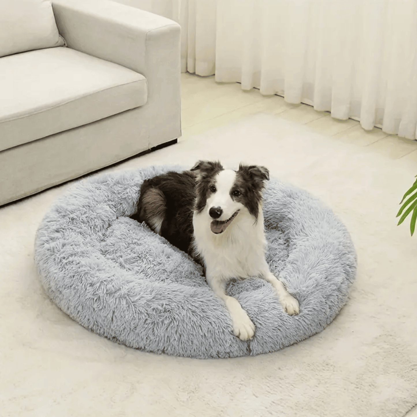 Panier rond pour chien et chat - MyPetsHub