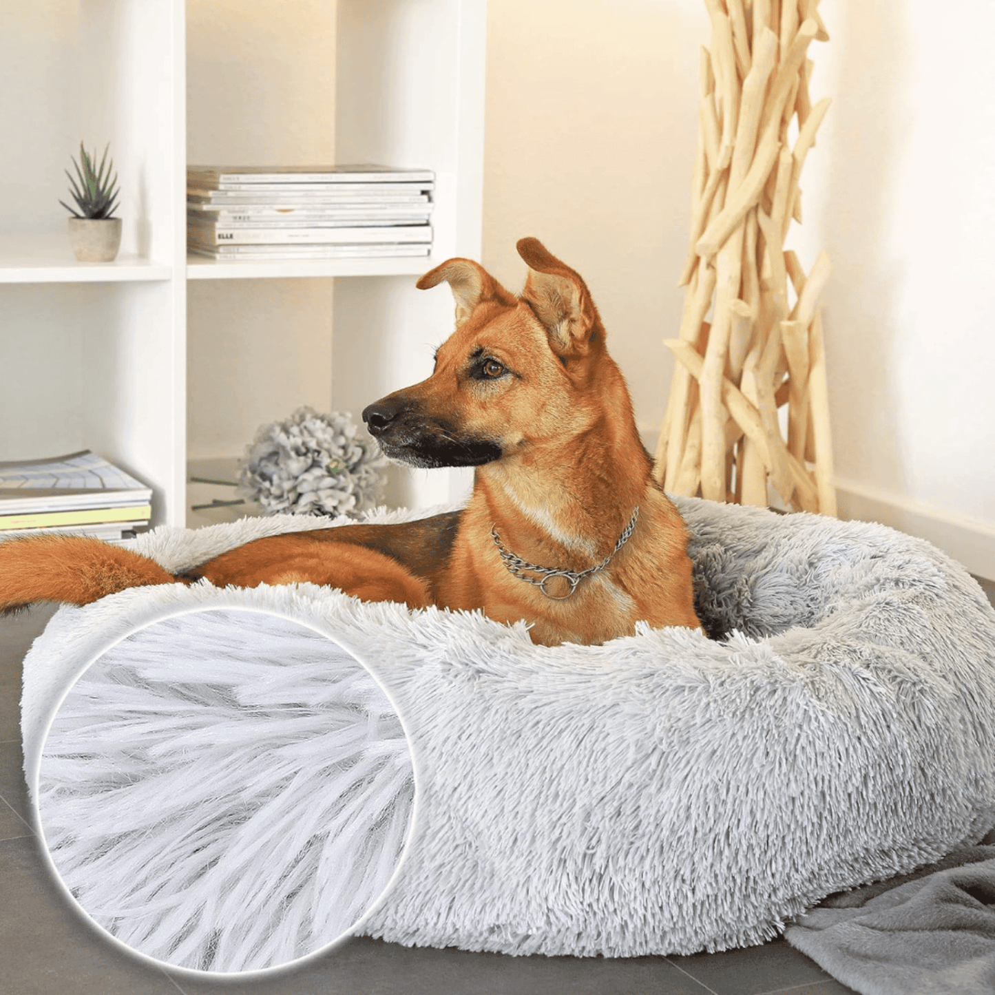 Panier rond pour chien et chat - MyPetsHub