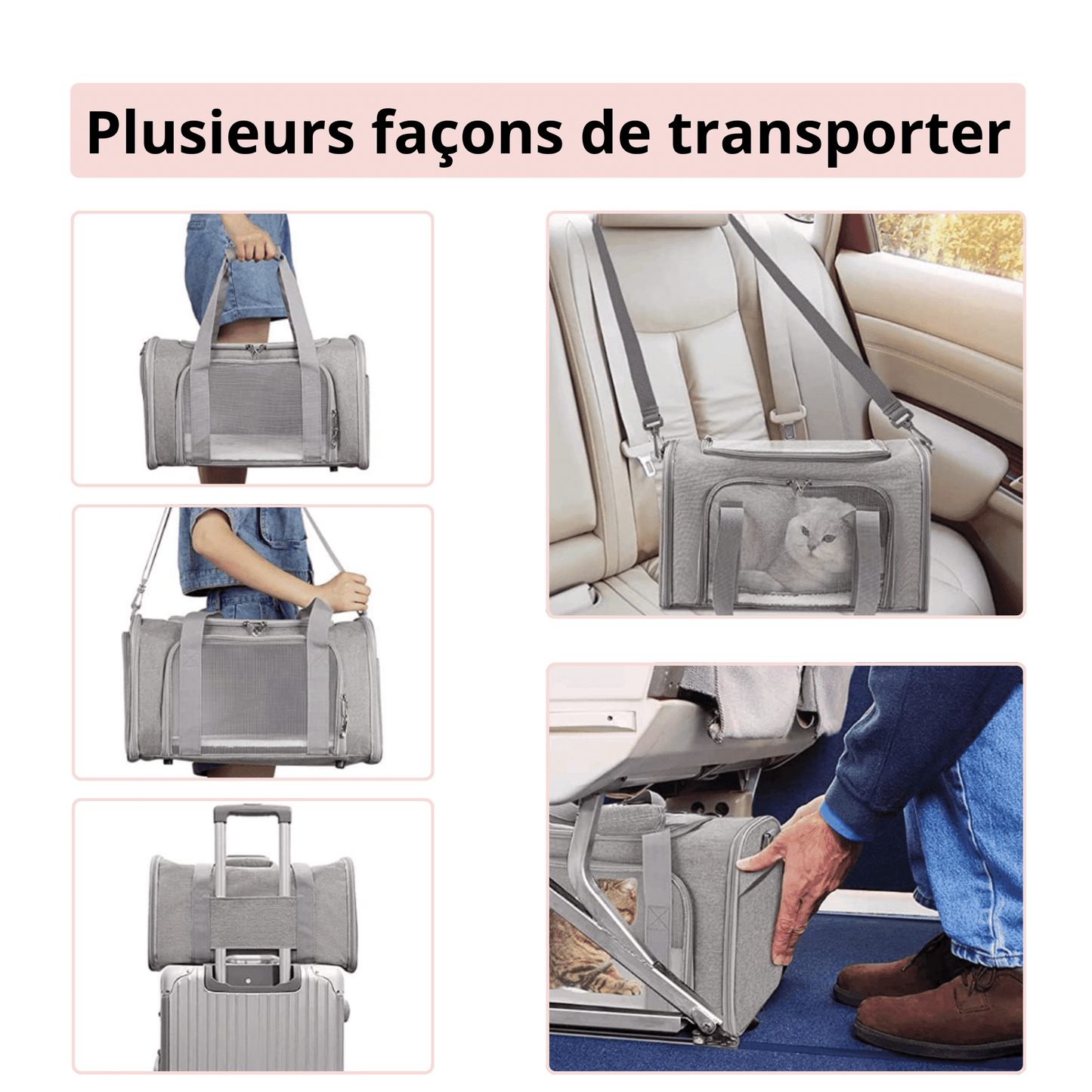 Sac de Transport pour Petit Chien et Chat - MyPetsHub