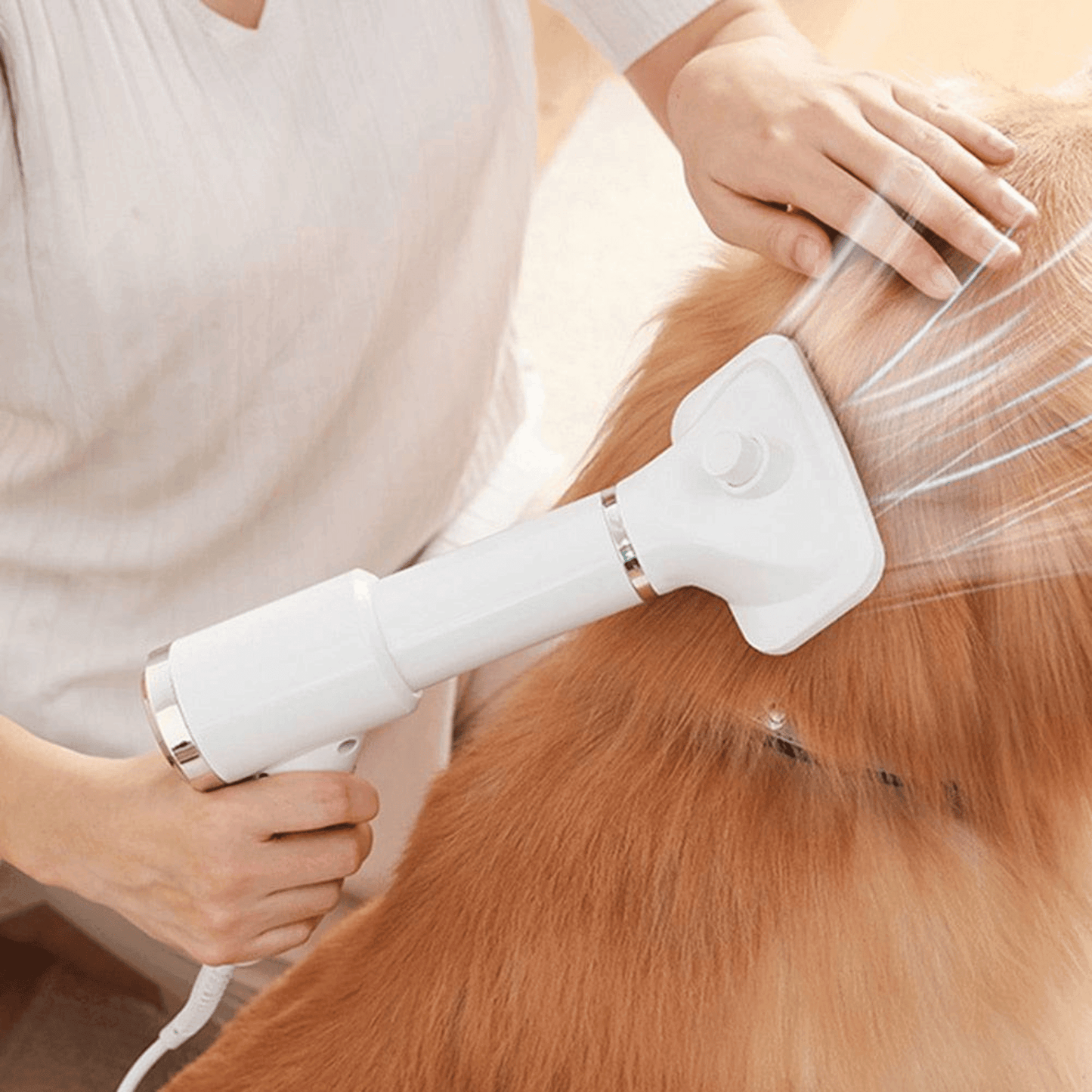 Sèche cheveux 2 en 1 pour chien et chat | PetDryer™ - MyPetsHub