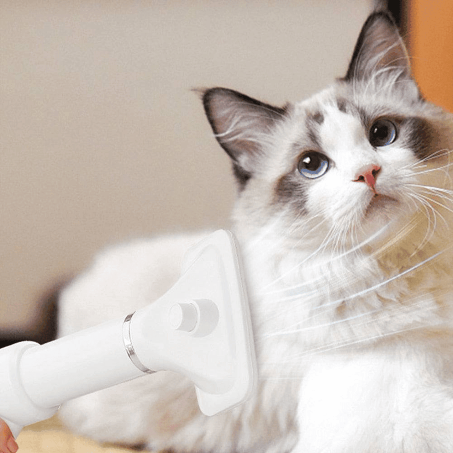 Sèche cheveux 2 en 1 pour chien et chat | PetDryer™ - MyPetsHub