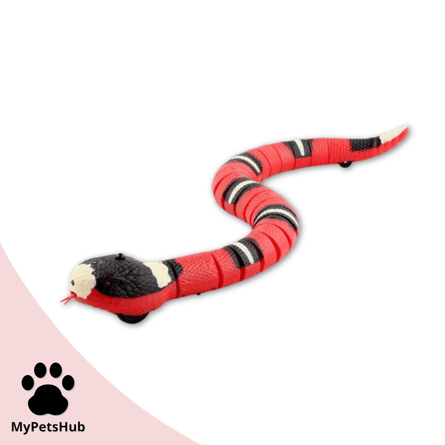 Serpent intéractif pour chat - MyPetsHub