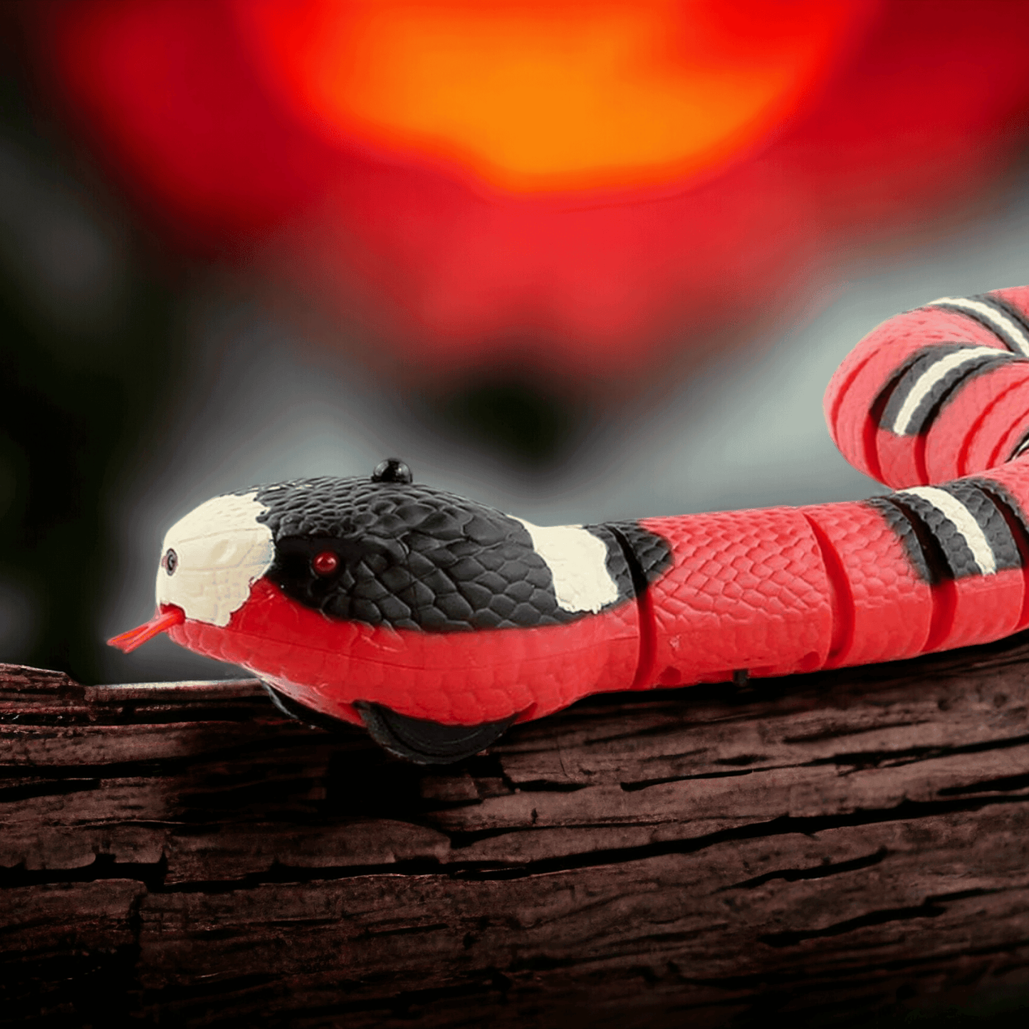 Serpent intéractif pour chat - MyPetsHub