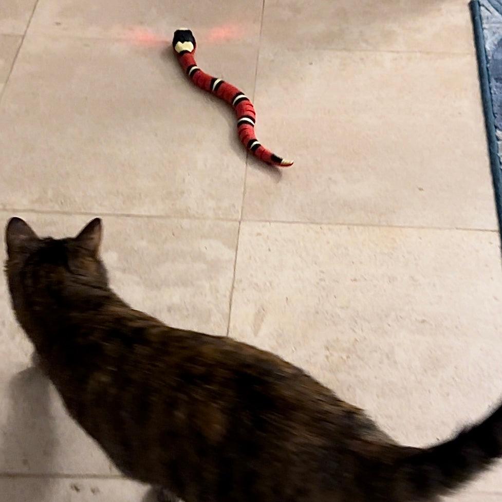 Serpent intéractif pour chat - MyPetsHub