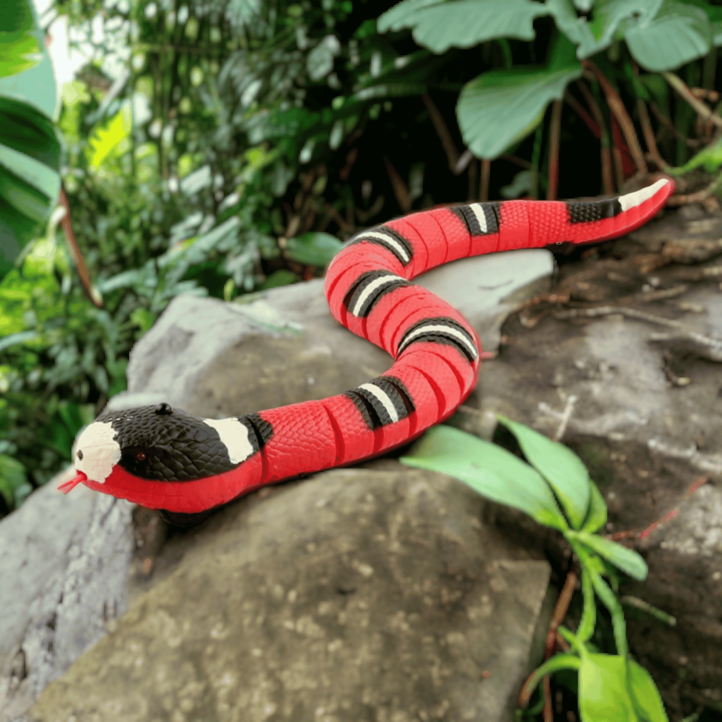 Serpent intéractif pour chat - MyPetsHub