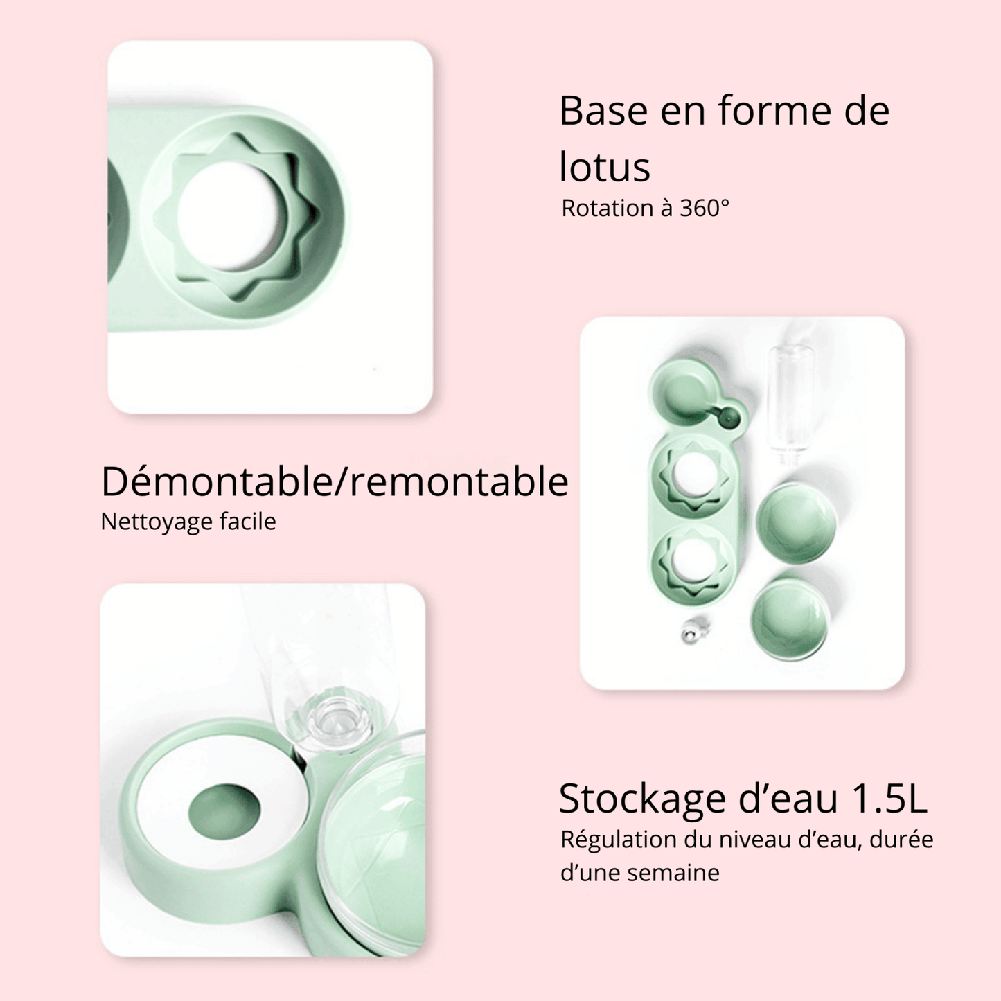 Station de nourriture pour chat | MultiCat™ - MyPetsHub