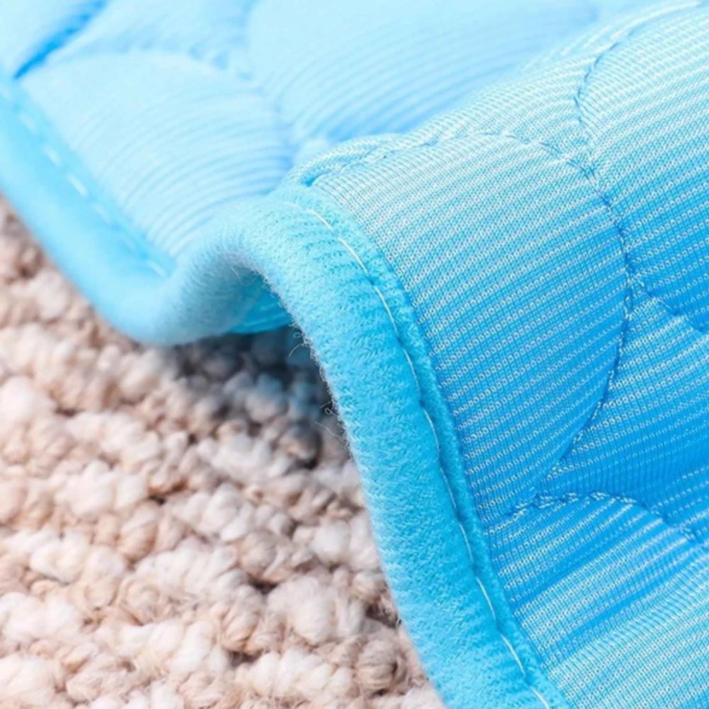 Tapis Rafraichissant Chat Chien Bleu Gros Plan Qualité