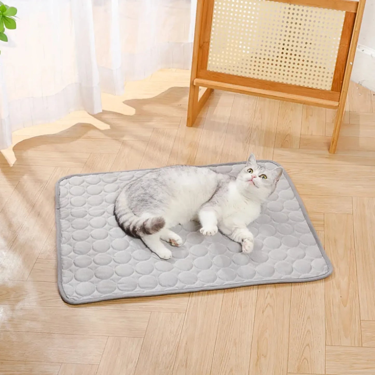 Tapis Rafraichissant Chat Chien Gris Clair Chat Allongé