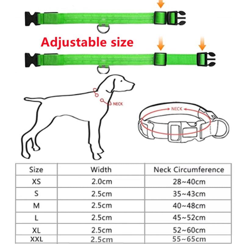 Collier Led pour chien - MyPetsHub