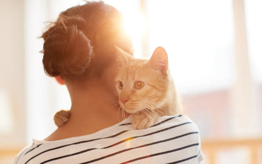 Mieux comprendre son chat