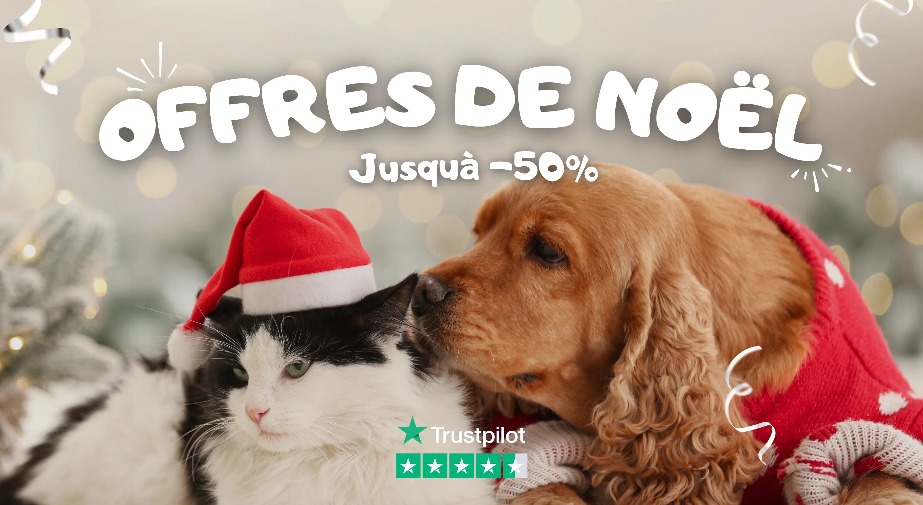 Offres de Noël jusqu'à -50% pour chats et chiens