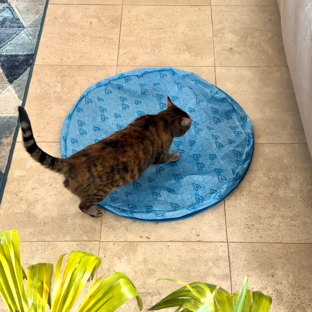 Jouet de chasse stimulant pour chat - MyPetsHub