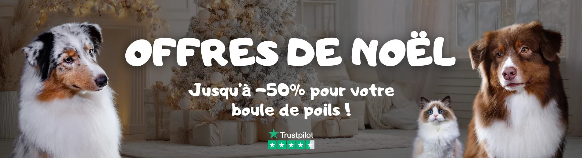 Offres de Noël jusqu'à -50% pour chats et chiens 4,5 sur trustpilot